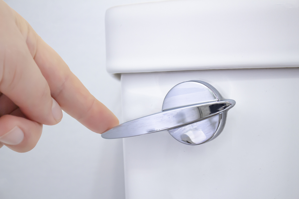 A person flushing a toilet in a washroom