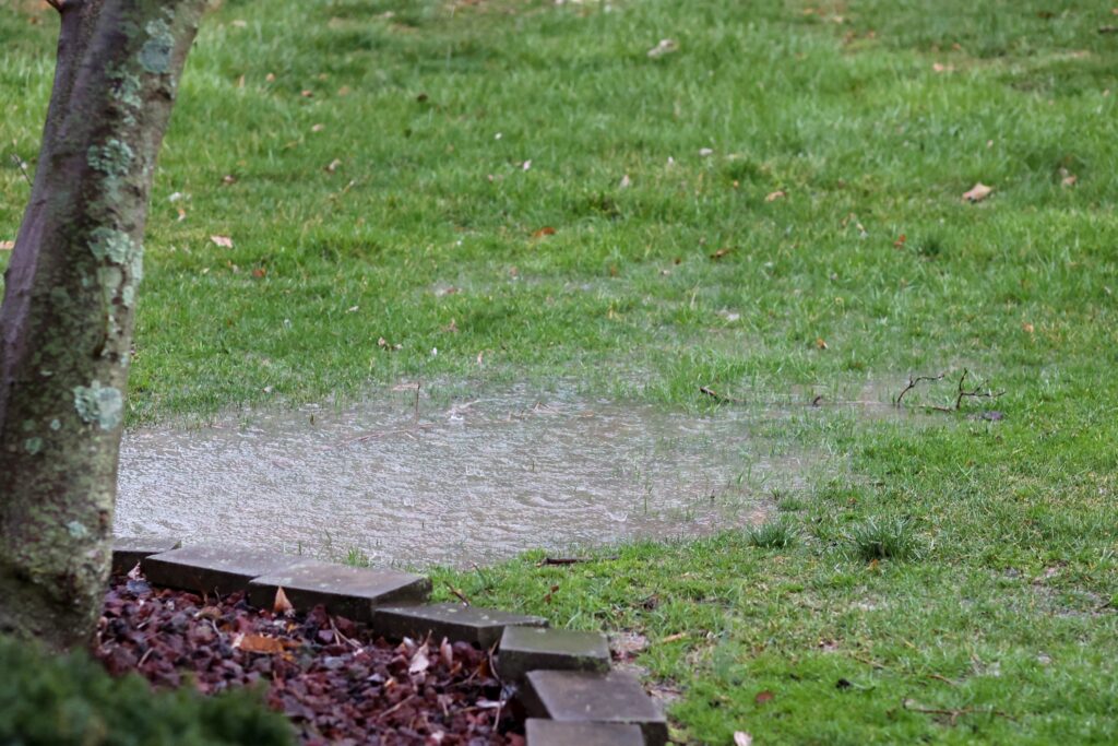 Top Signs Your Sewer Line Is Failing (And What to Do About It)